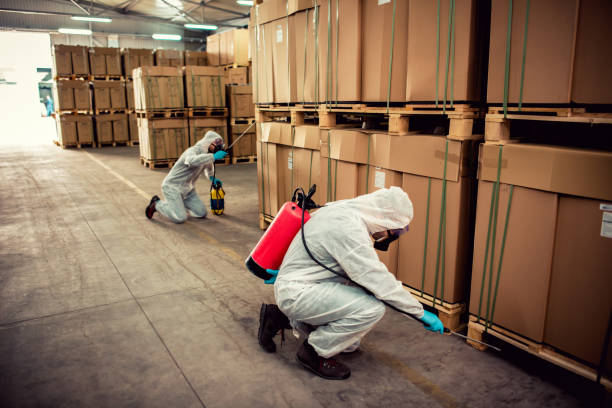 Best Emergency Pest Control  in Gramercy, LA