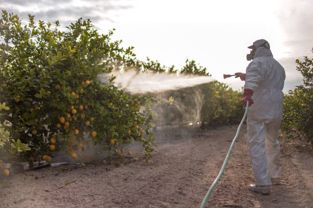 Best Wasp Removal Services  in Gramercy, LA