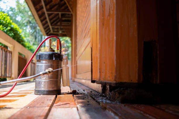 Best Mosquito Control Services  in Gramercy, LA